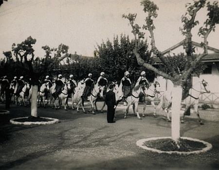 CFPNA: Camp Cazes - Spahis - Coll° F Dronneau.